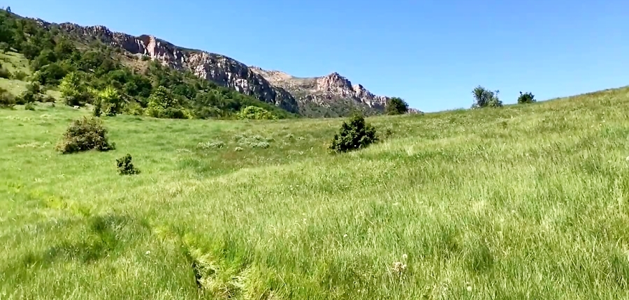 34474119-8005-b__1637