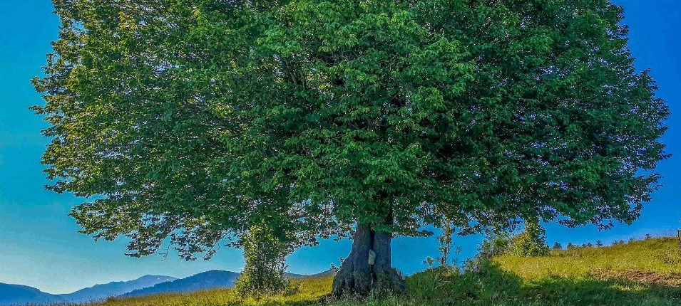 photo_2022-08-14_10-08-48